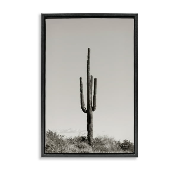 Stupell Industries Clear Afternoon Cactus Landscape & Nature Photography Black Floater Framed Canvas Art Print Wall Art, 17 x 25