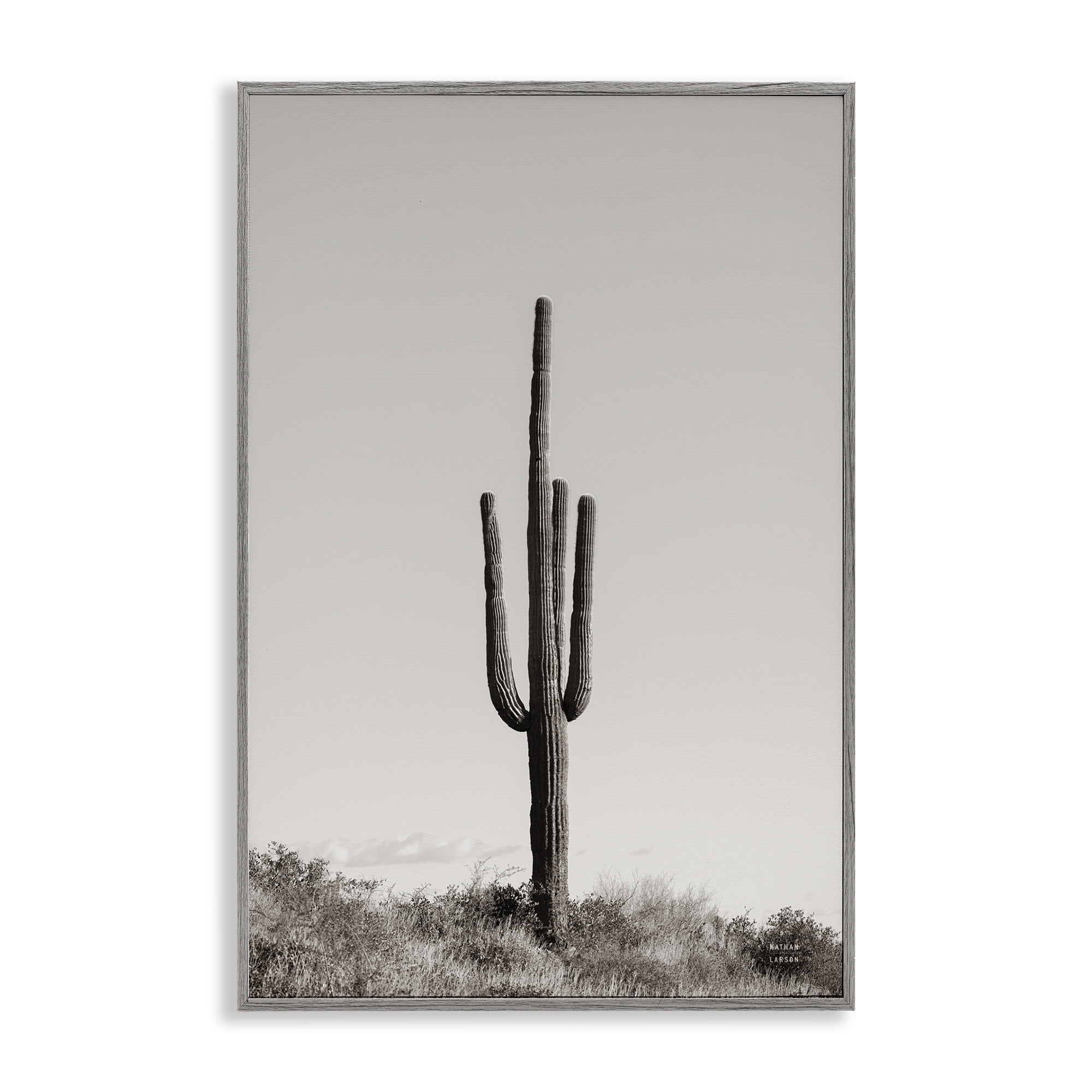 Stupell Industries Clear Afternoon Cactus Landscape & Nature Photography Gray Framed Art Print Wall Art, 12 x 18