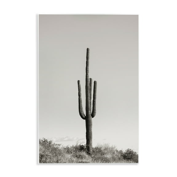 Stupell Industries Clear Afternoon Cactus Landscape & Nature Photography Unframed Art Print Wall Art, 10 x 15