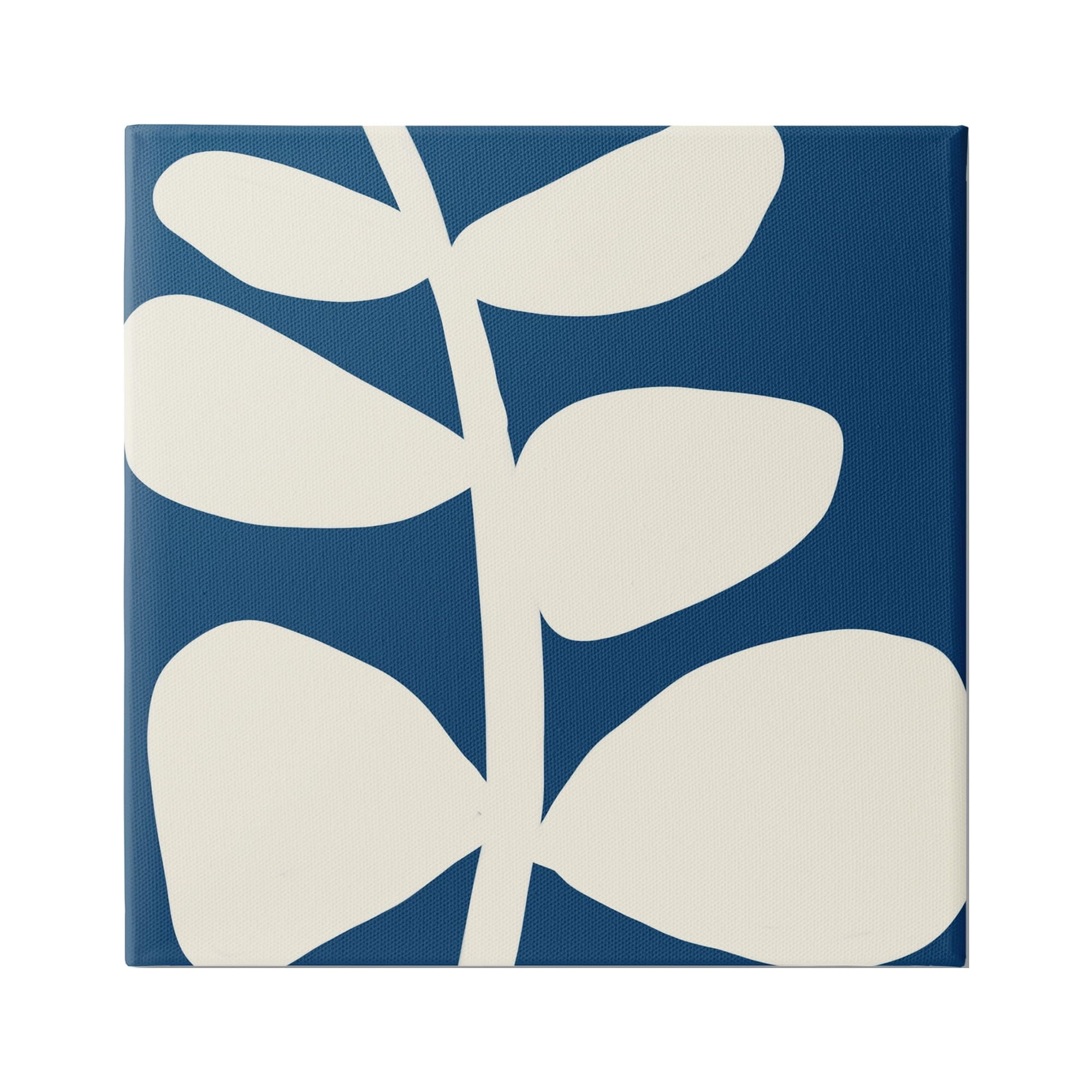 Stupell Industries Close Up Leaf Silhouette Bold Abstract Plant Botanicals Graphic Art Gallery Wrapped Canvas Print Wall Art, Design by Deborah Velasquez