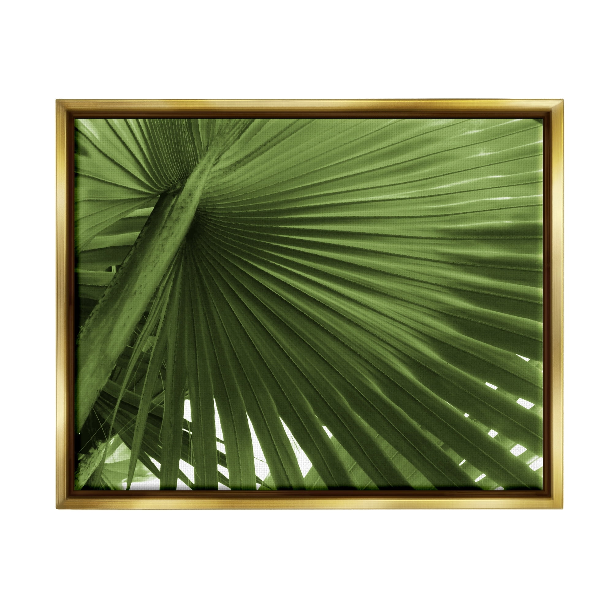 Stupell Industries Close Up Palm Leaf Lush Green Tropical Plant Photograph Metallic Gold Floating Framed Canvas Print Wall Art, Design by Graffitee Studios