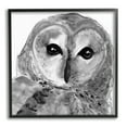 thumbnail image 1 of Stupell Industries Close Up Barn Owl Bird Gazing Ink Watercolor Painting Black Framed Art Print Wall Art, Design by Patti Mann, 1 of 5