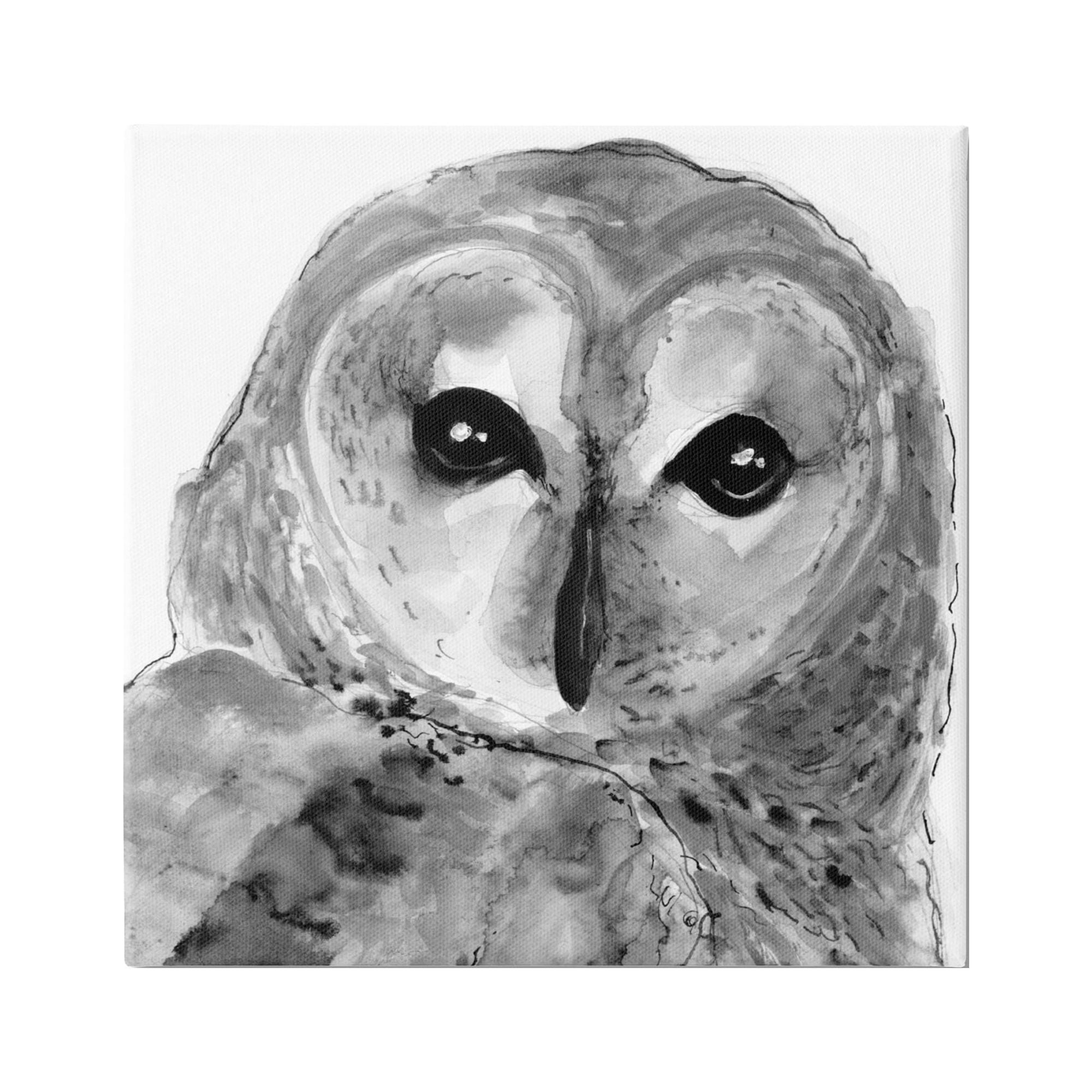 Stupell Industries Close Up Barn Owl Bird Gazing Ink Watercolor Painting Gallery Wrapped Canvas Print Wall Art, Design by Patti Mann