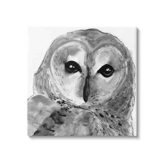 Stupell Industries Close Up Barn Owl Bird Gazing Ink Watercolor Painting Gallery Wrapped Canvas Print Wall Art, Design by Patti Mann