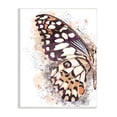 thumbnail image 1 of Stupell Industries Close Up Butterfly Patterned Wing Paint Splatter, 10 x 15, Designed by Ros Ruseva, 1 of 6