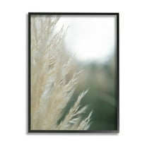 Stupell Industries Close Up Country Pampas Grass Photograph Black Framed Art Print Wall Art, Design by Jason Johnson