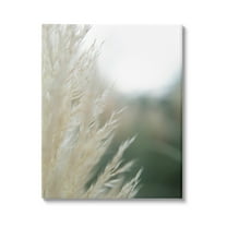 Stupell Industries Close Up Country Pampas Grass Photograph Gallery Wrapped Canvas Print Wall Art, Design by Jason Johnson