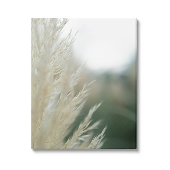 Stupell Industries Close Up Country Pampas Grass Photograph Gallery Wrapped Canvas Print Wall Art, Design by Jason Johnson
