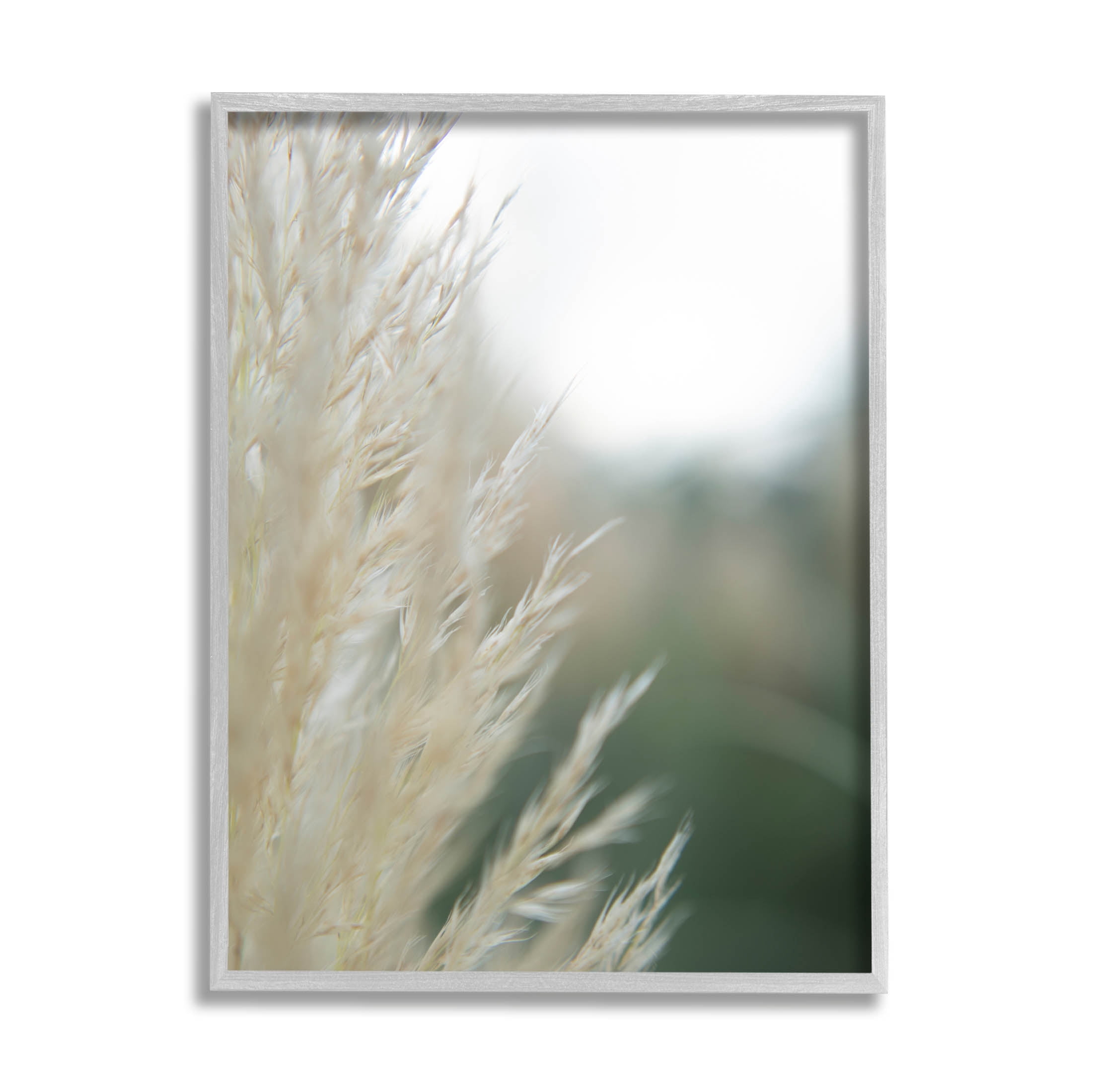 Stupell Industries Close Up Country Pampas Grass Photograph Gray Framed Art Print Wall Art, Design by Jason Johnson