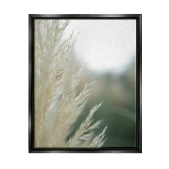 Stupell Industries Close Up Country Pampas Grass Photograph Jet Black Floating Framed Canvas Print Wall Art, Design by Jason Johnson