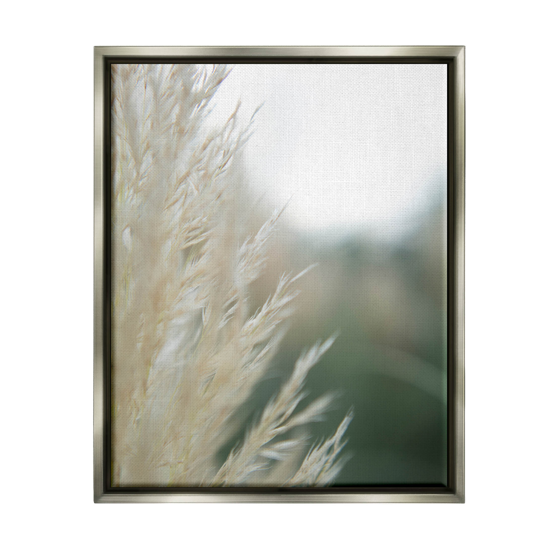 Stupell Industries Close Up Country Pampas Grass Photograph Luster Gray Floating Framed Canvas Print Wall Art, Design by Jason Johnson