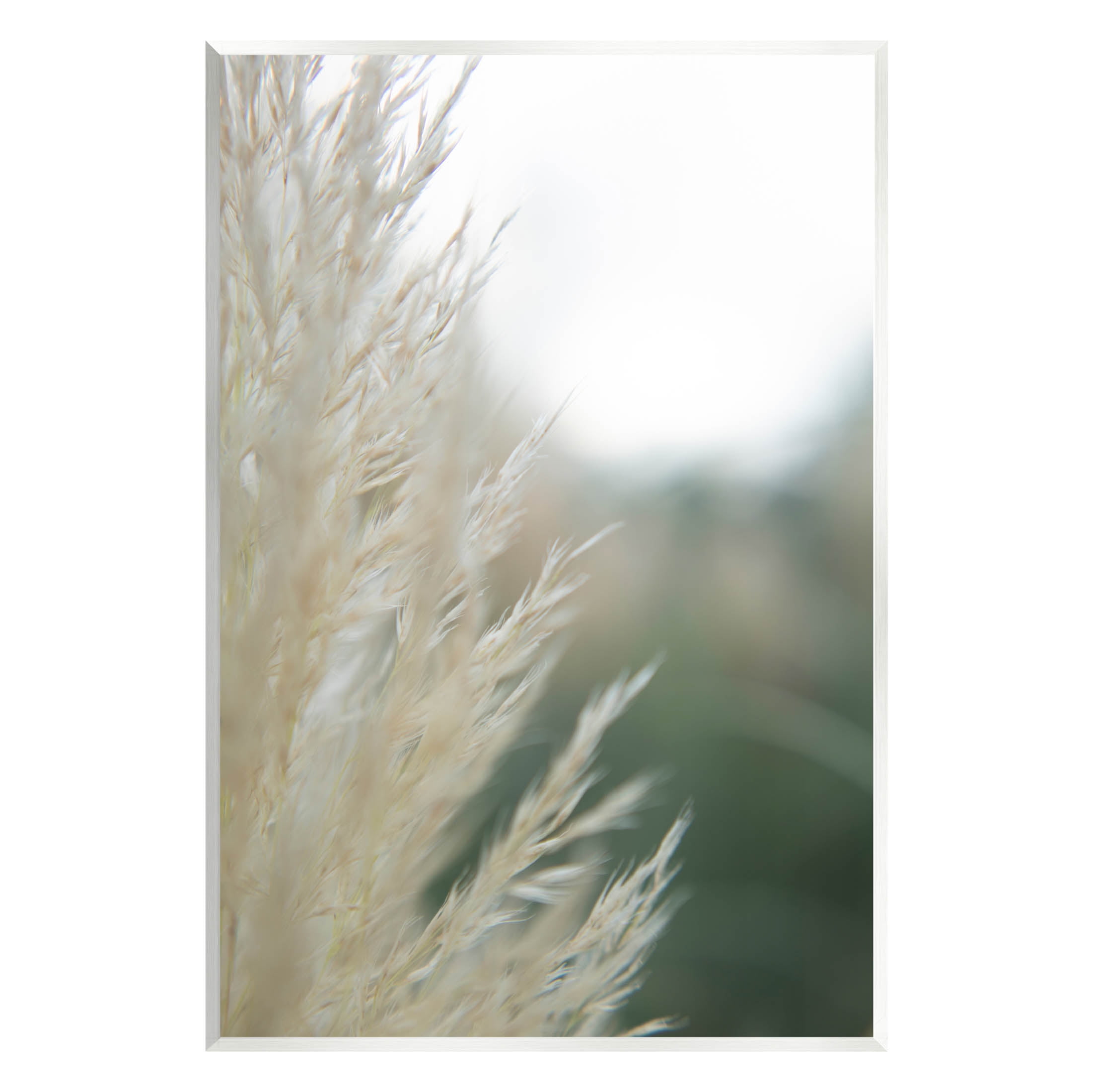 Stupell Industries Close Up Country Pampas Grass Photograph Unframed Art Print Wall Art, Design by Jason Johnson