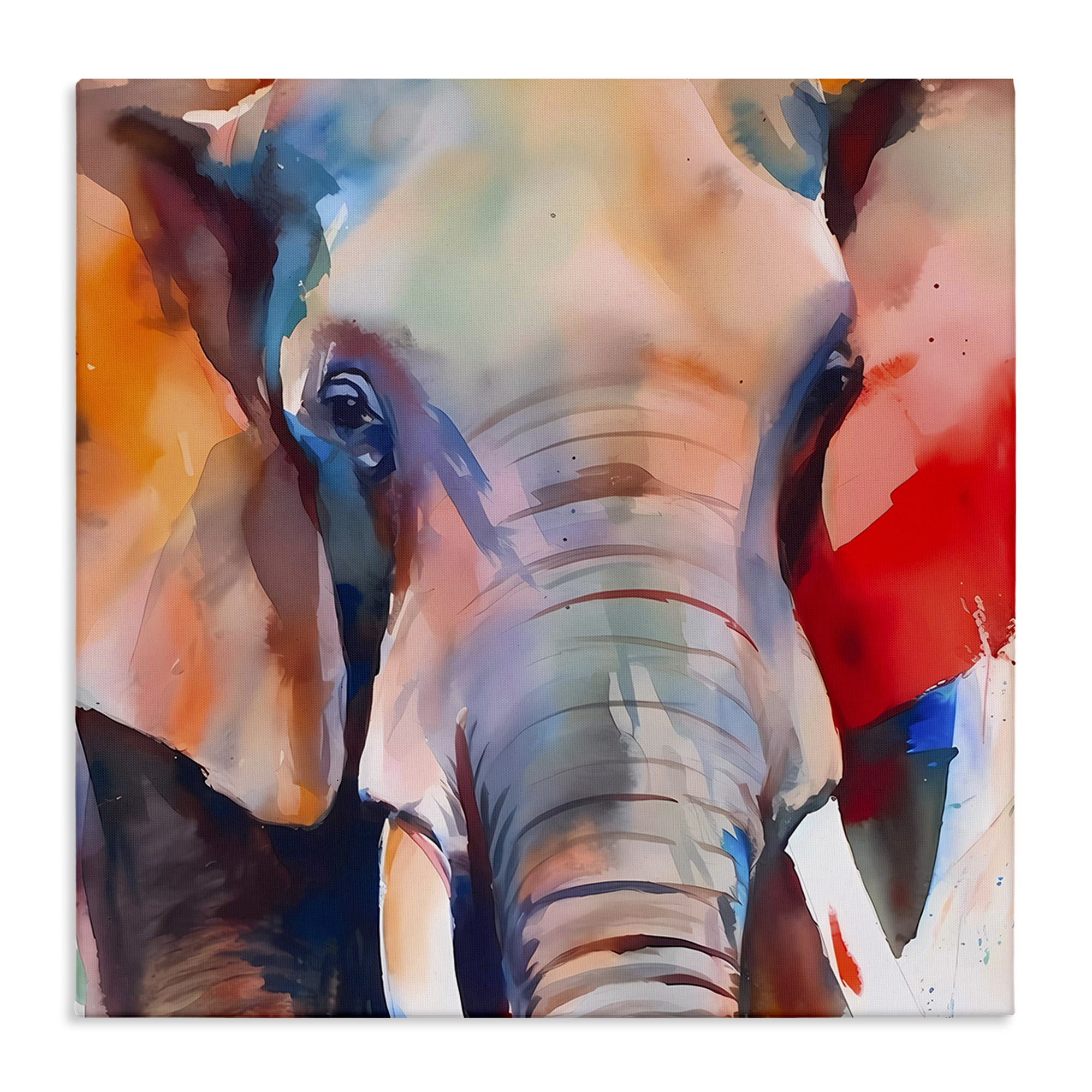 Stupell Industries Close Up Elephant Face Animals & Insects Painting Gallery Wrapped Canvas Art Print Wall Art, 24 x 24