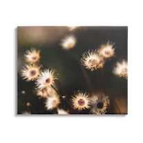 Stupell Industries Close Up Floral Buds Photograph Gallery Wrapped Canvas Print Wall Art, Design by Lil' Rue