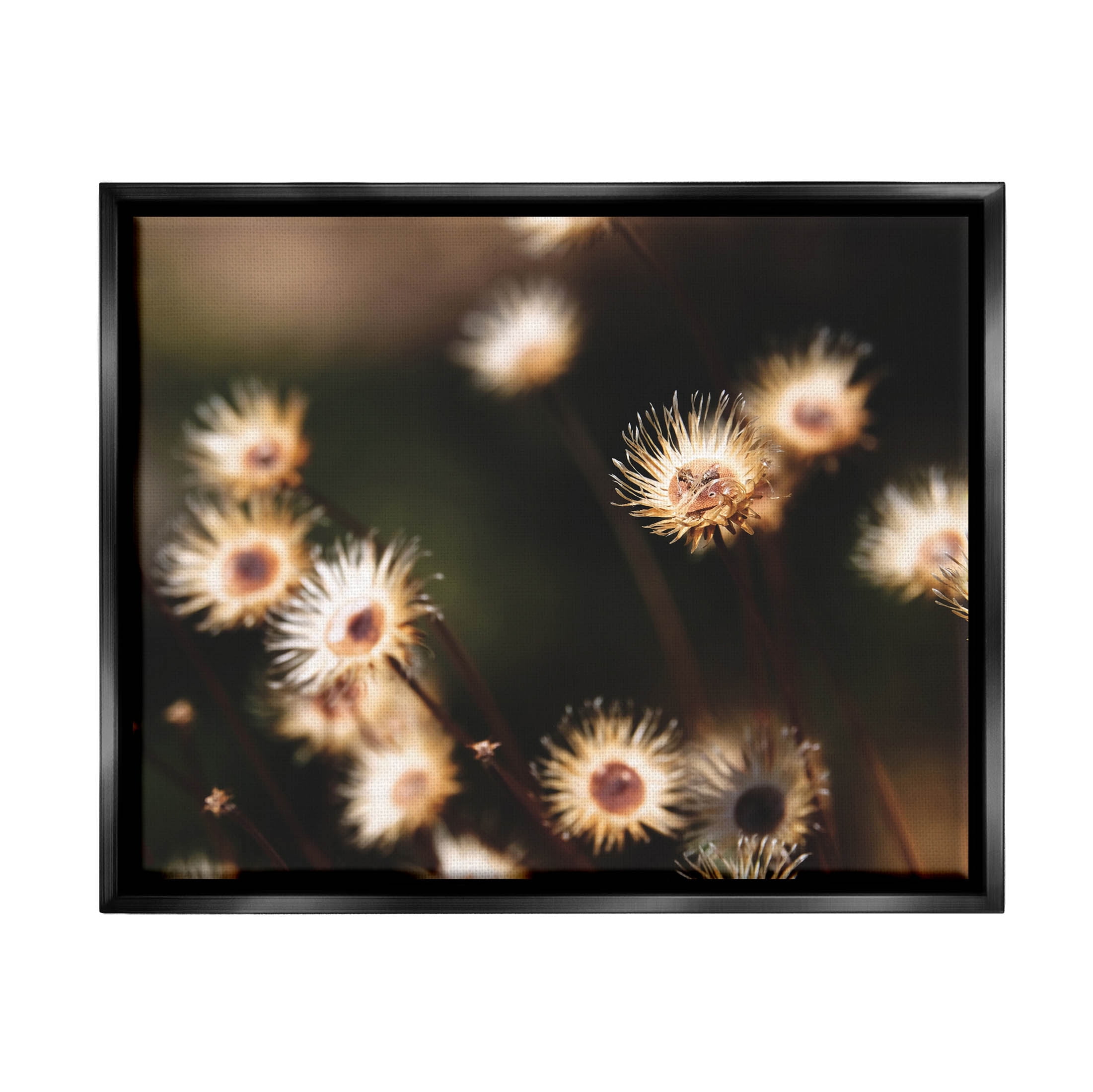 Stupell Industries Close Up Floral Buds Photograph Jet Black Floating Framed Canvas Print Wall Art, Design by Lil' Rue