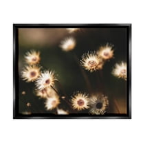 Stupell Industries Close Up Floral Buds Photograph Jet Black Floating Framed Canvas Print Wall Art, Design by Lil' Rue