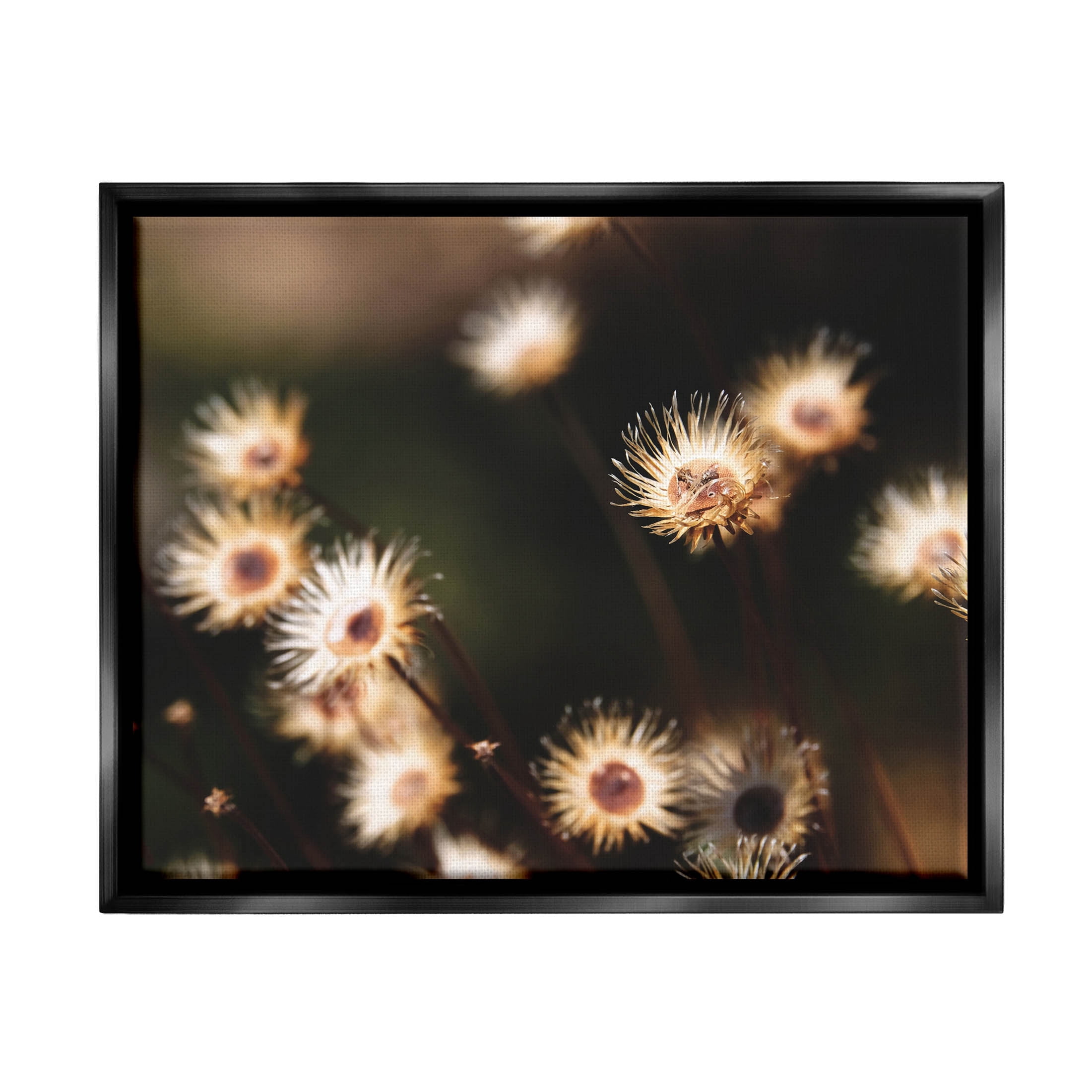 Stupell Industries Close Up Floral Buds Photograph Jet Black Floating Framed Canvas Print Wall Art, Design by Lil' Rue