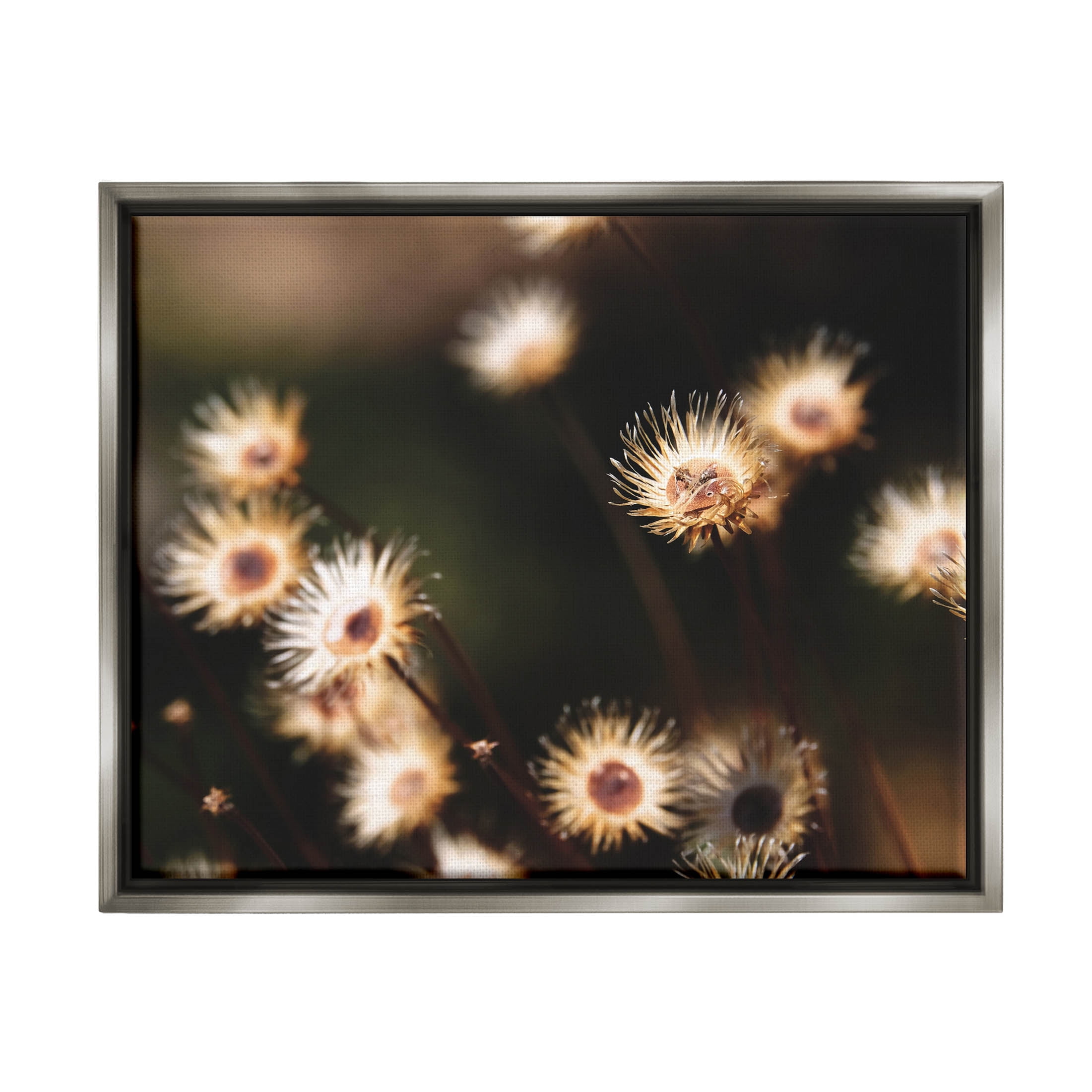 Stupell Industries Close Up Floral Buds Photograph Luster Gray Floating Framed Canvas Print Wall Art, Design by Lil' Rue
