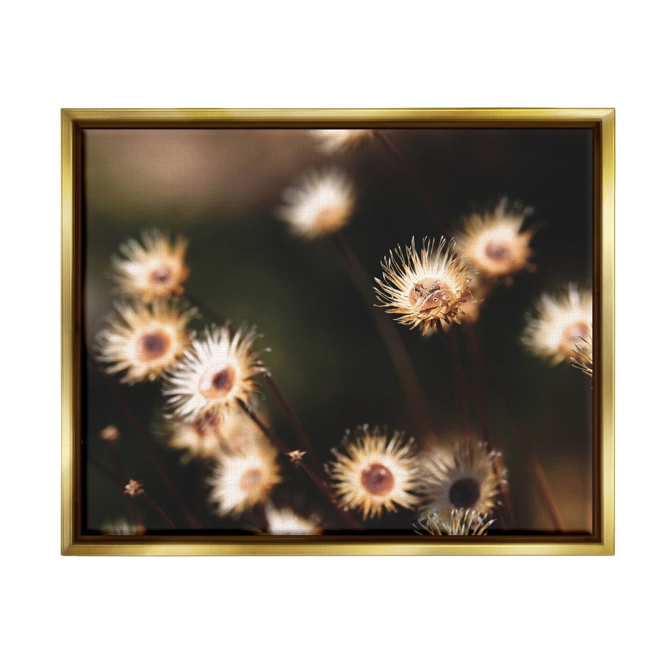 Stupell Industries Close Up Floral Buds Photograph Metallic Gold Floating Framed Canvas Print Wall Art, Design by Lil' Rue