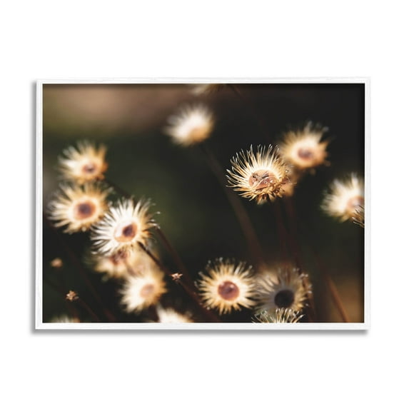 Stupell Industries Close Up Floral Buds Photograph White Framed Art Print Wall Art, Design by Lil' Rue