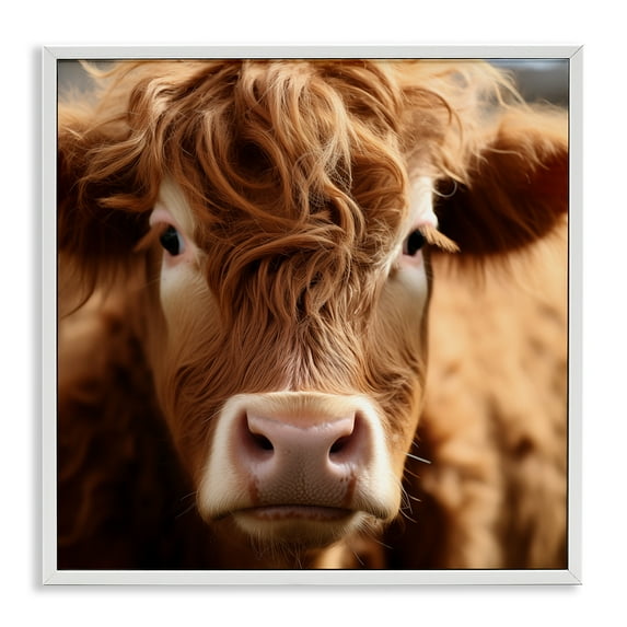Stupell Industries Close Up Furry Cow Portrait Animals Photography White Framed Art Print Wall Art, 17 x 17