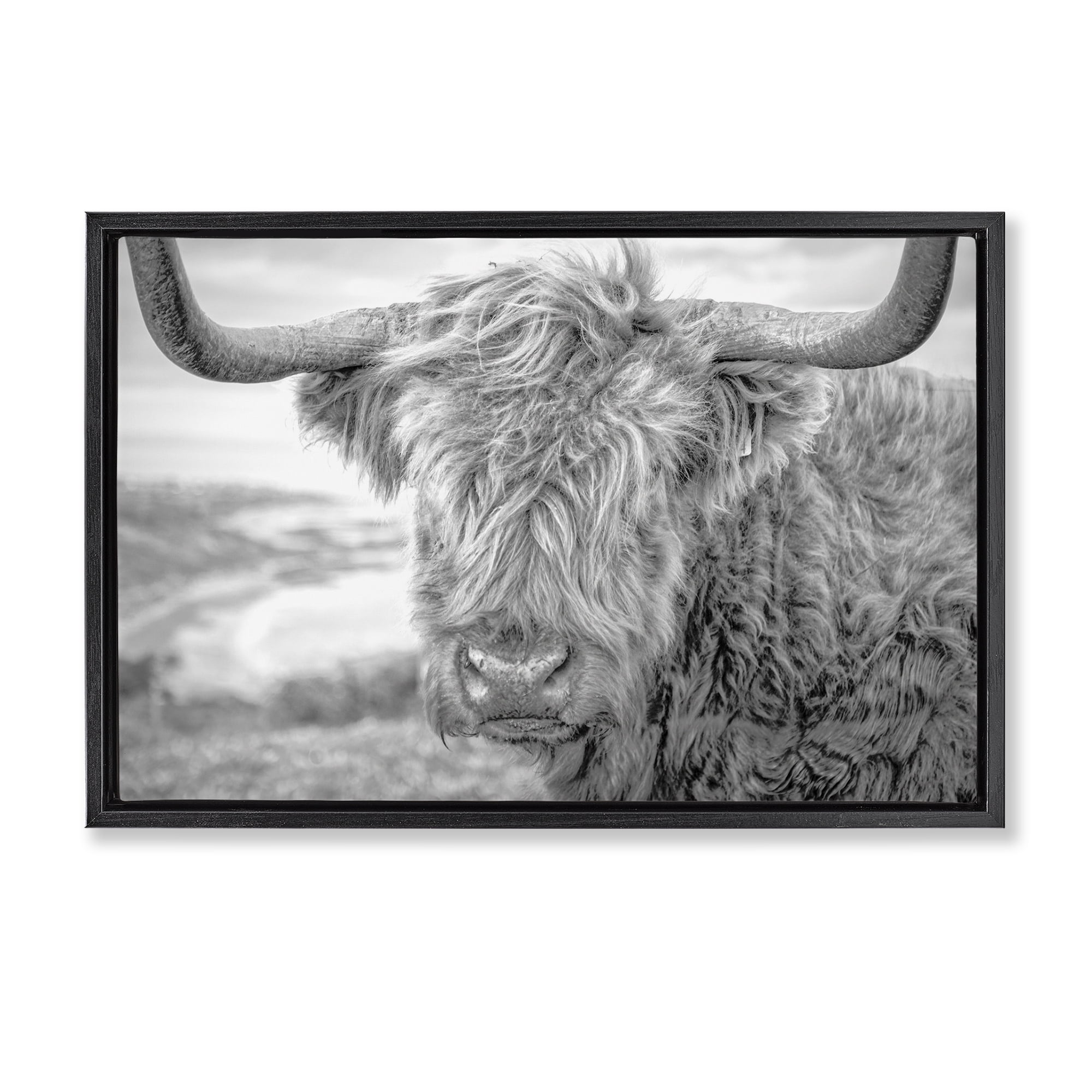 Stupell Industries Close Up Fuzzy Cattle Animals & Insects Photography Black Floater Framed Canvas Art Print Wall Art, 31 x 21