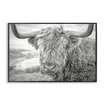 Stupell Industries Close Up Fuzzy Cattle Animals & Insects Photography Black Framed Art Print Wall Art, 18 x 12