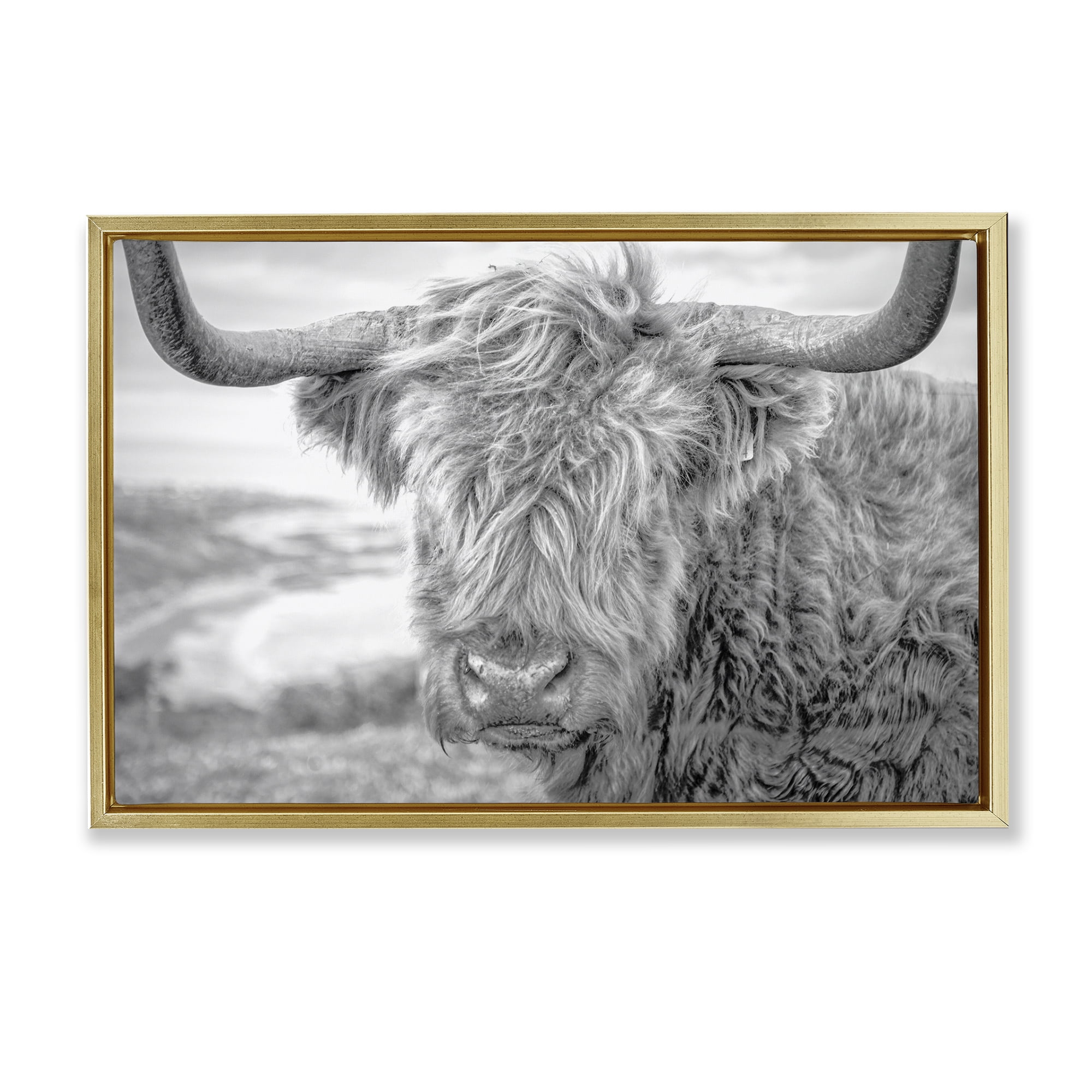 Stupell Industries Close Up Fuzzy Cattle Animals & Insects Photography Gold Floater Framed Canvas Art Print Wall Art, 31 x 21