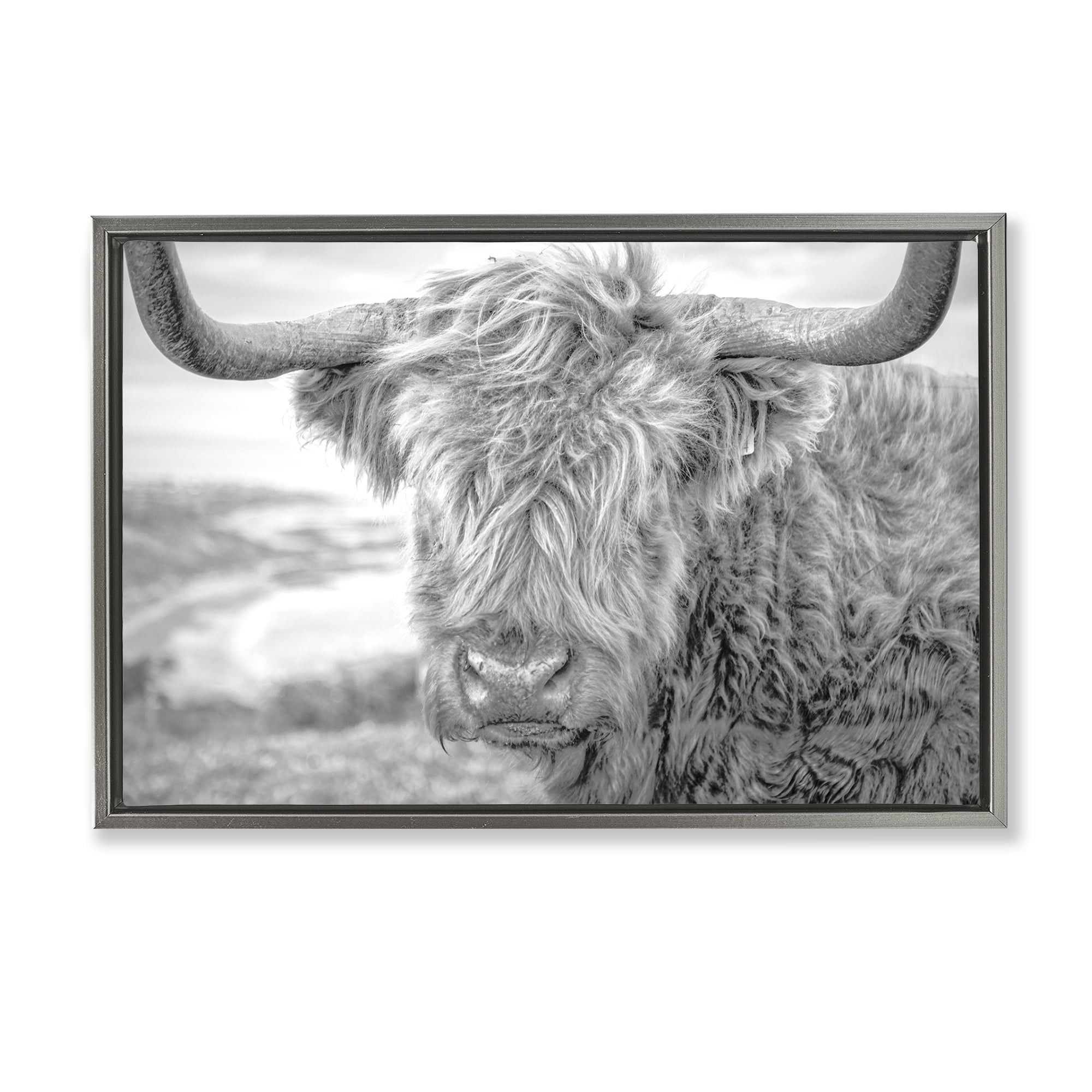 Stupell Industries Close Up Fuzzy Cattle Animals & Insects Photography Gray Floater Framed Canvas Art Print Wall Art, 31 x 21