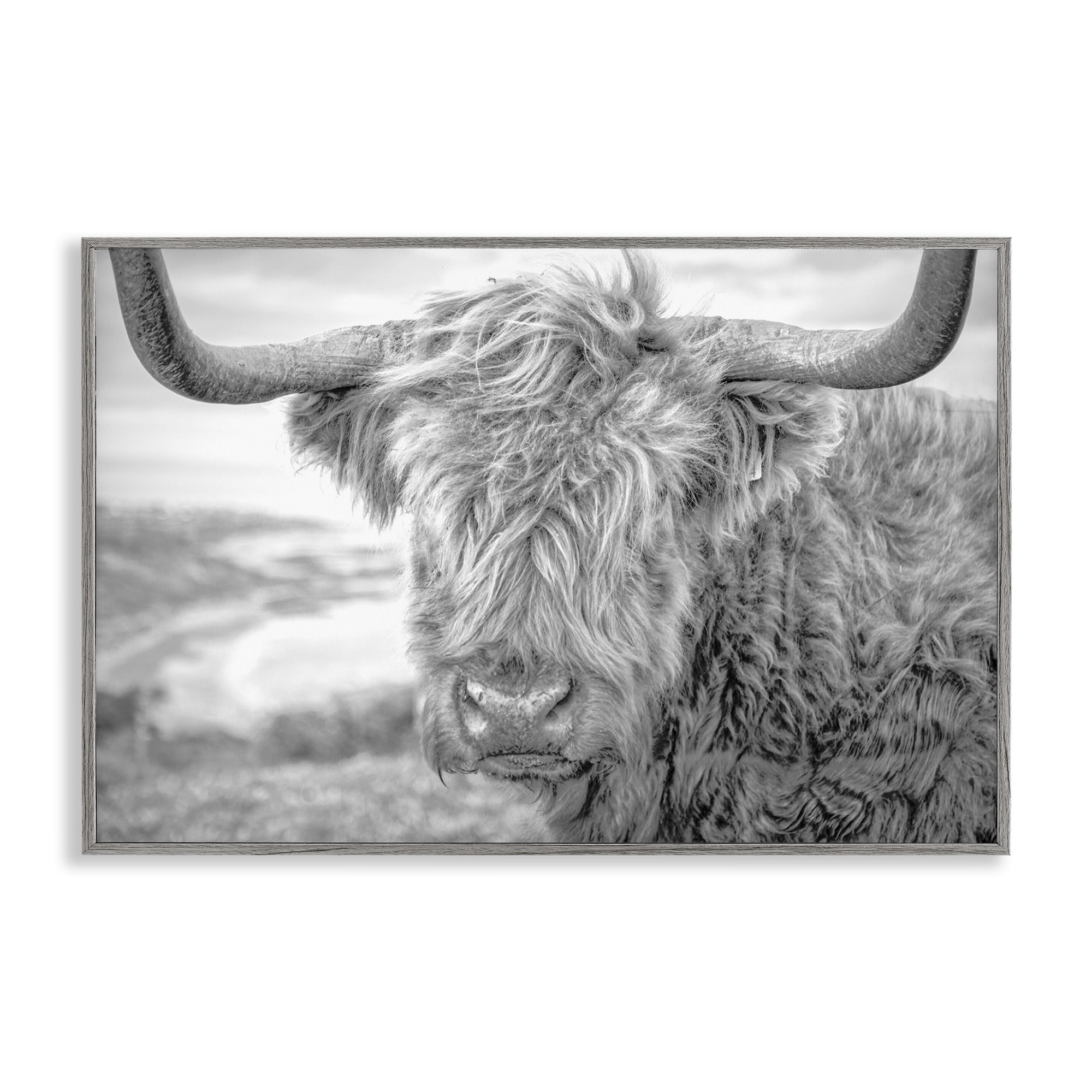 Stupell Industries Close Up Fuzzy Cattle Animals & Insects Photography Gray Framed Art Print Wall Art, 18 x 12