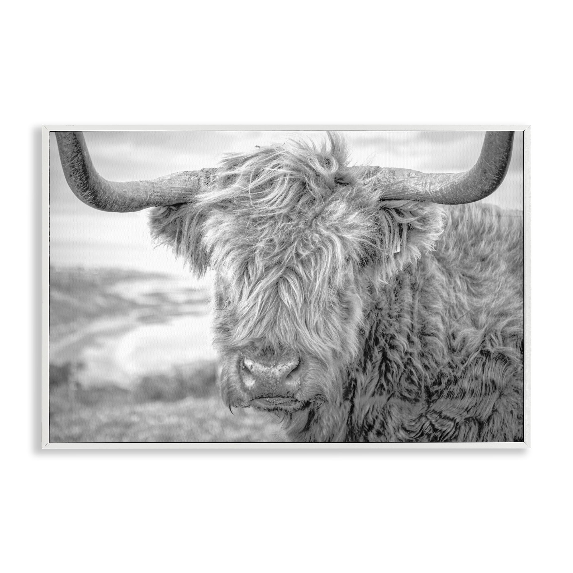 Stupell Industries Close Up Fuzzy Cattle Animals & Insects Photography White Framed Art Print Wall Art, 18 x 12