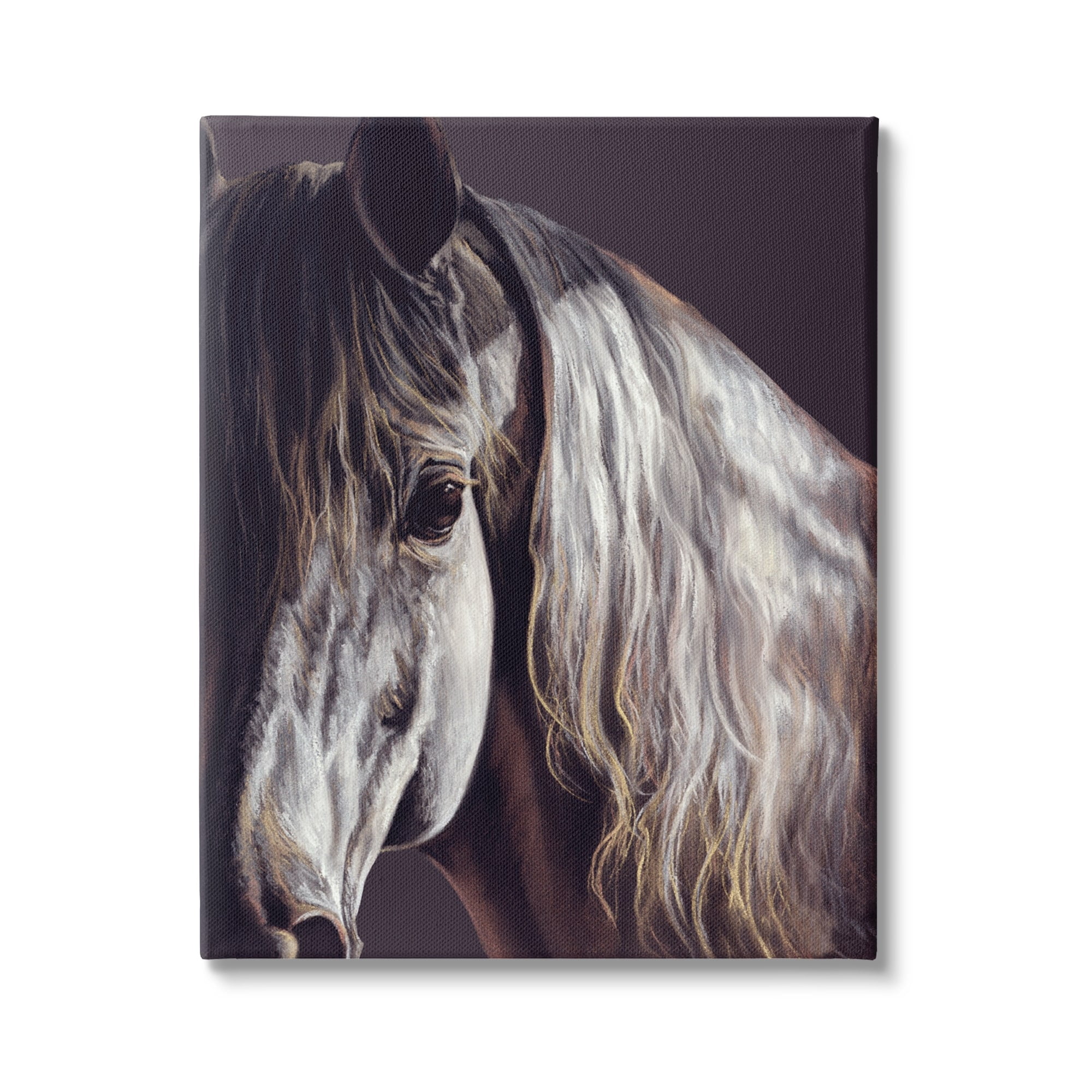 Stupell Industries Close Up Horse Face Portrait Animals & Insects Photography Gallery Wrapped Canvas Print Wall Art