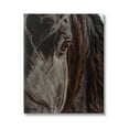 thumbnail image 1 of Stupell Industries Close Up Horse Portrait Animals & Insects Painting Gallery Wrapped Canvas Print Wall Art, 30 x 40, 1 of 7