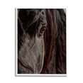 thumbnail image 1 of Stupell Industries Close Up Horse Portrait Animals & Insects Painting White Framed Art Print Wall Art, 16 x 20, 1 of 8