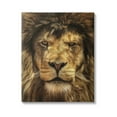 thumbnail image 1 of Stupell Industries Close Up Lion Portrait Photograph Gallery Wrapped Canvas Print Wall Art, Design by Carrie Ann Grippo-Pike, 1 of 7