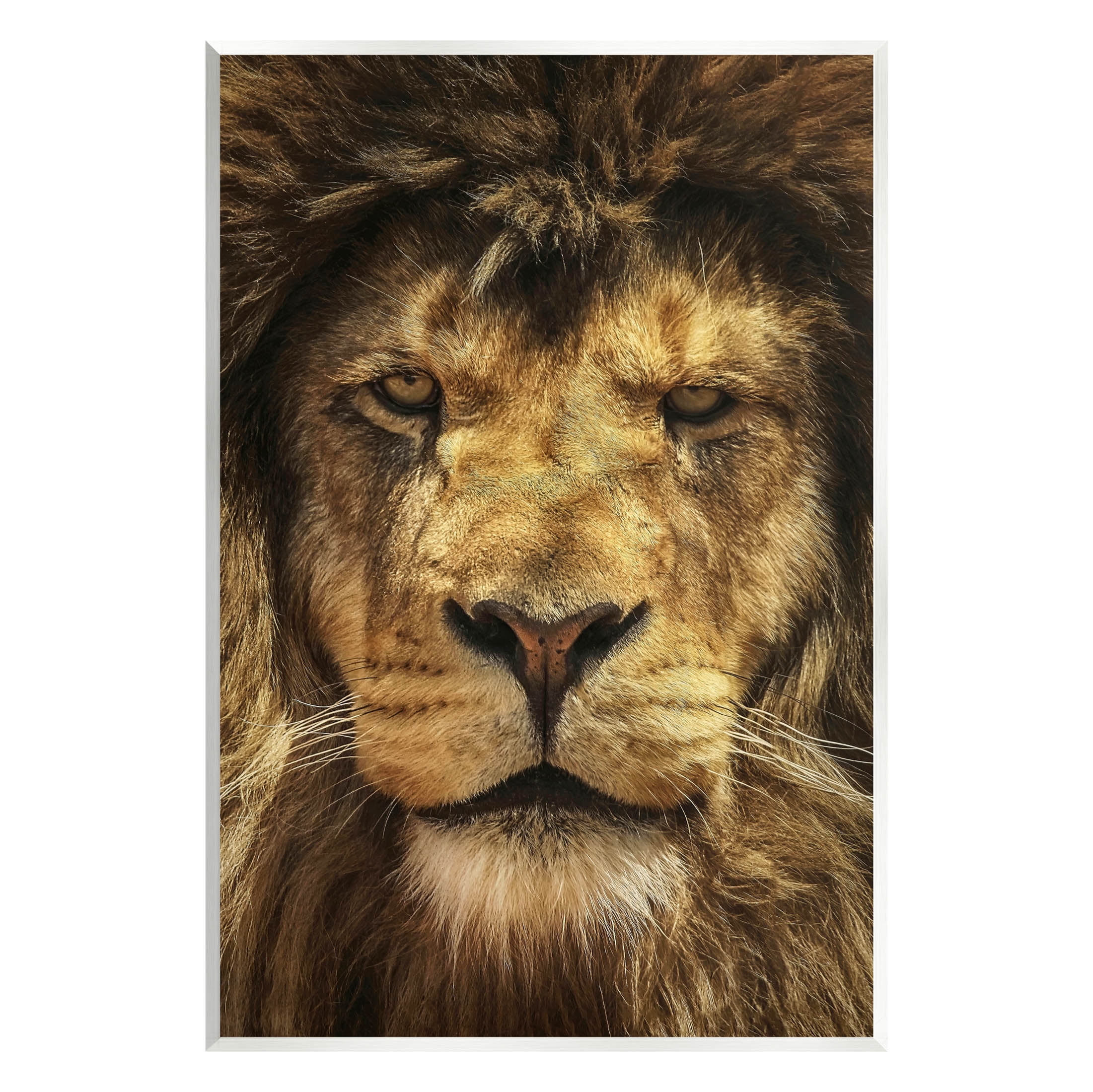 Stupell Industries Close Up Lion Portrait Photograph Unframed Art Print Wall Art, Design by Carrie Ann Grippo-Pike