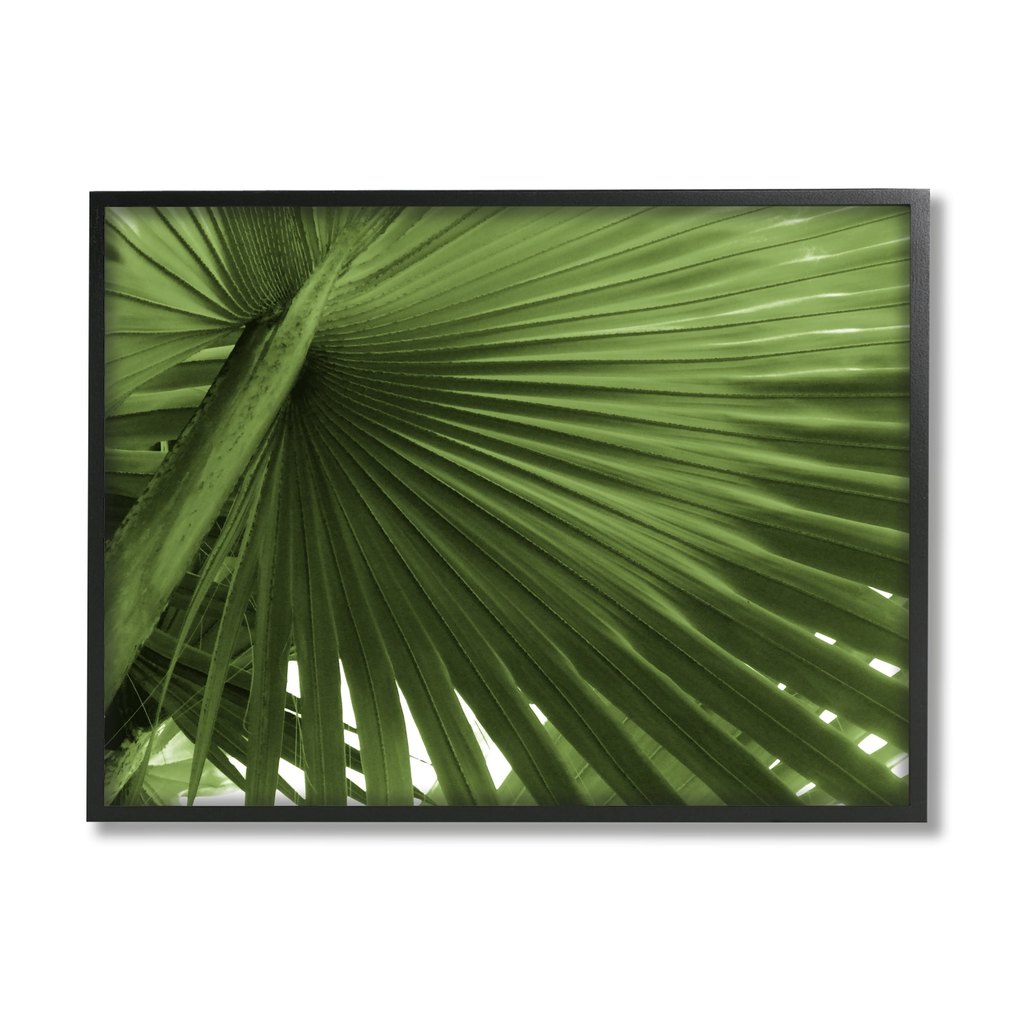 Stupell Industries Close Up Palm Leaf Lush Green Tropical Plant Photograph Black Framed Art Print Wall Art, Design by Graffitee Studios