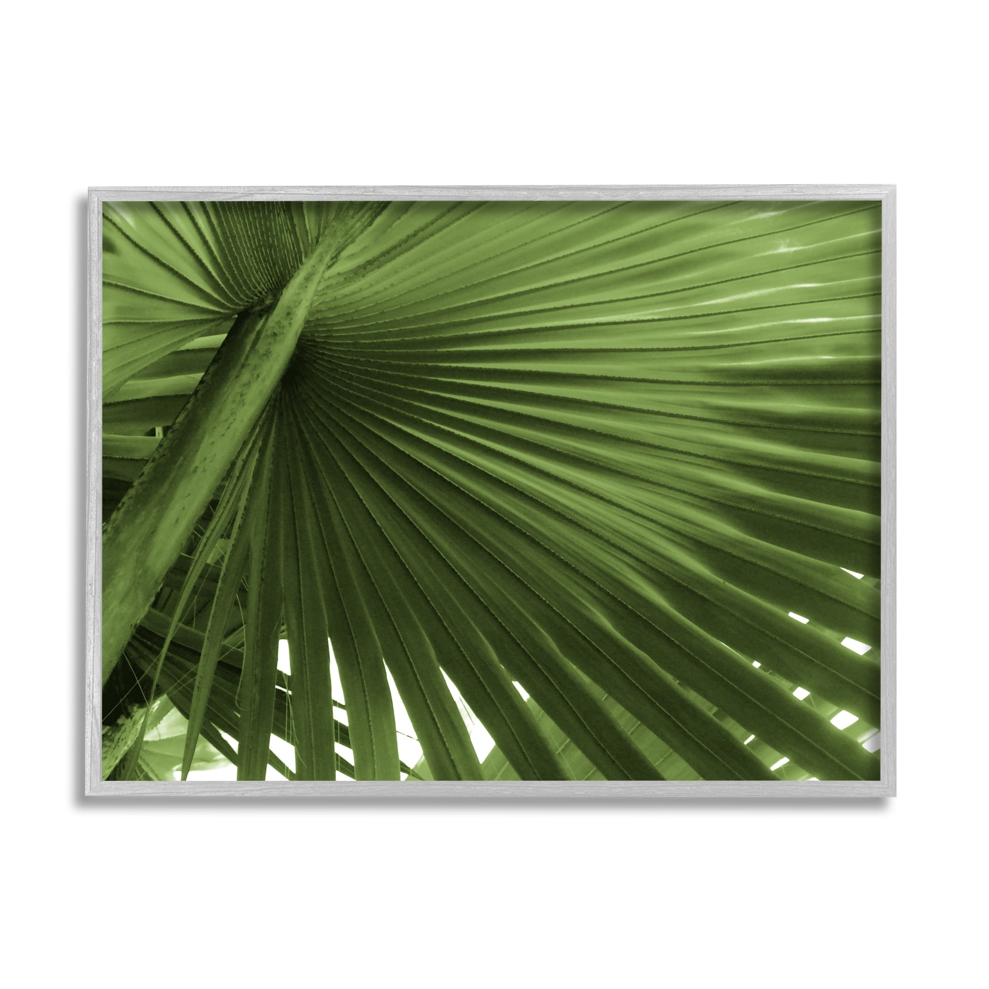 Stupell Industries Close Up Palm Leaf Lush Green Tropical Plant Photograph Gray Framed Art Print Wall Art, Design by Graffitee Studios