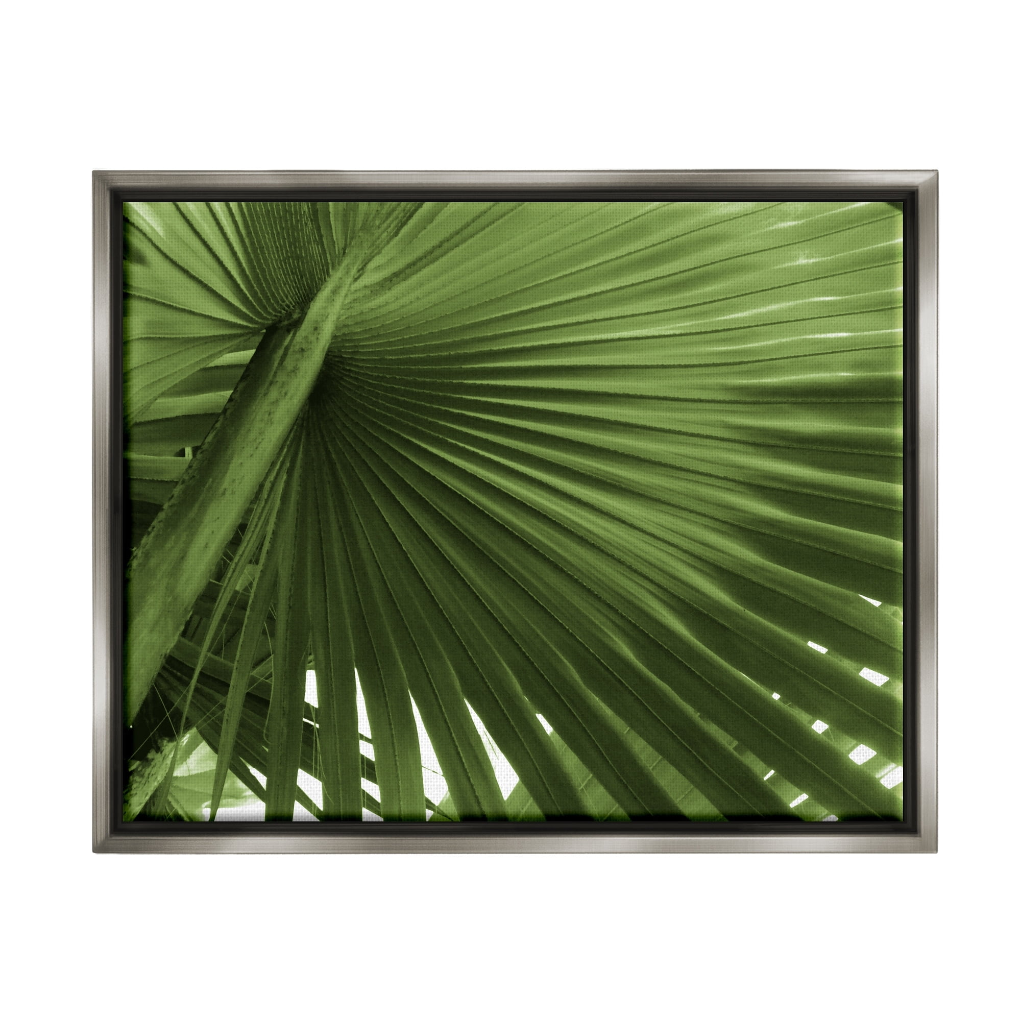 Stupell Industries Close Up Palm Leaf Lush Green Tropical Plant Photograph Luster Gray Floating Framed Canvas Print Wall Art, Design by Graffitee Studios