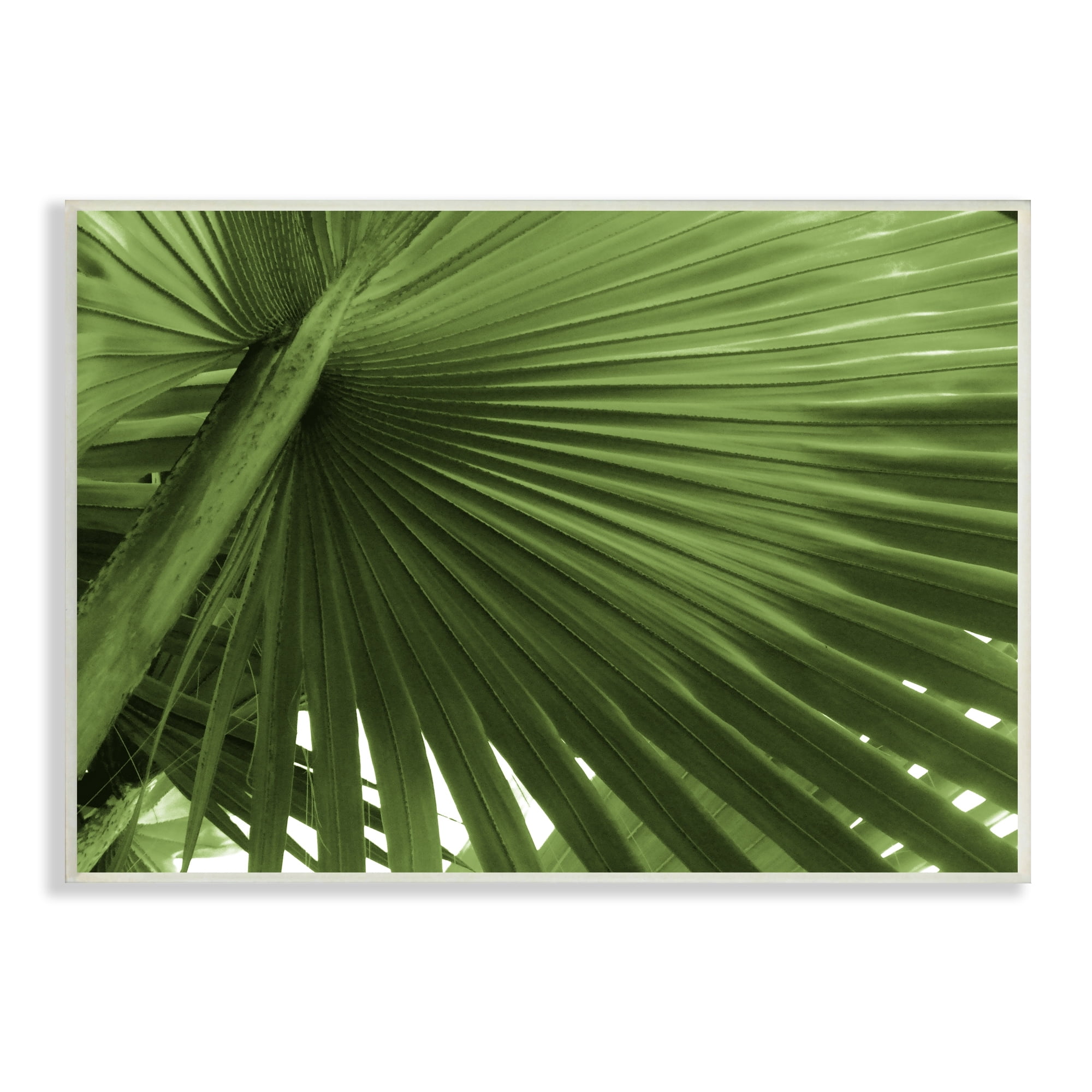 Stupell Industries Close Up Palm Leaf Lush Green Tropical Plant Photograph Unframed Art Print Wall Art, Design by Graffitee Studios