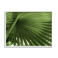 thumbnail image 1 of Stupell Industries Close Up Palm Leaf Lush Green Tropical Plant Photograph White Framed Art Print Wall Art, Design by Graffitee Studios, 1 of 5
