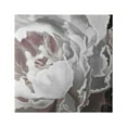 thumbnail image 1 of Stupell Industries Close Up Peony Blossom Botanical & Floral Painting Gallery Wrapped Canvas Print Wall Art, 36 x 36, 1 of 7