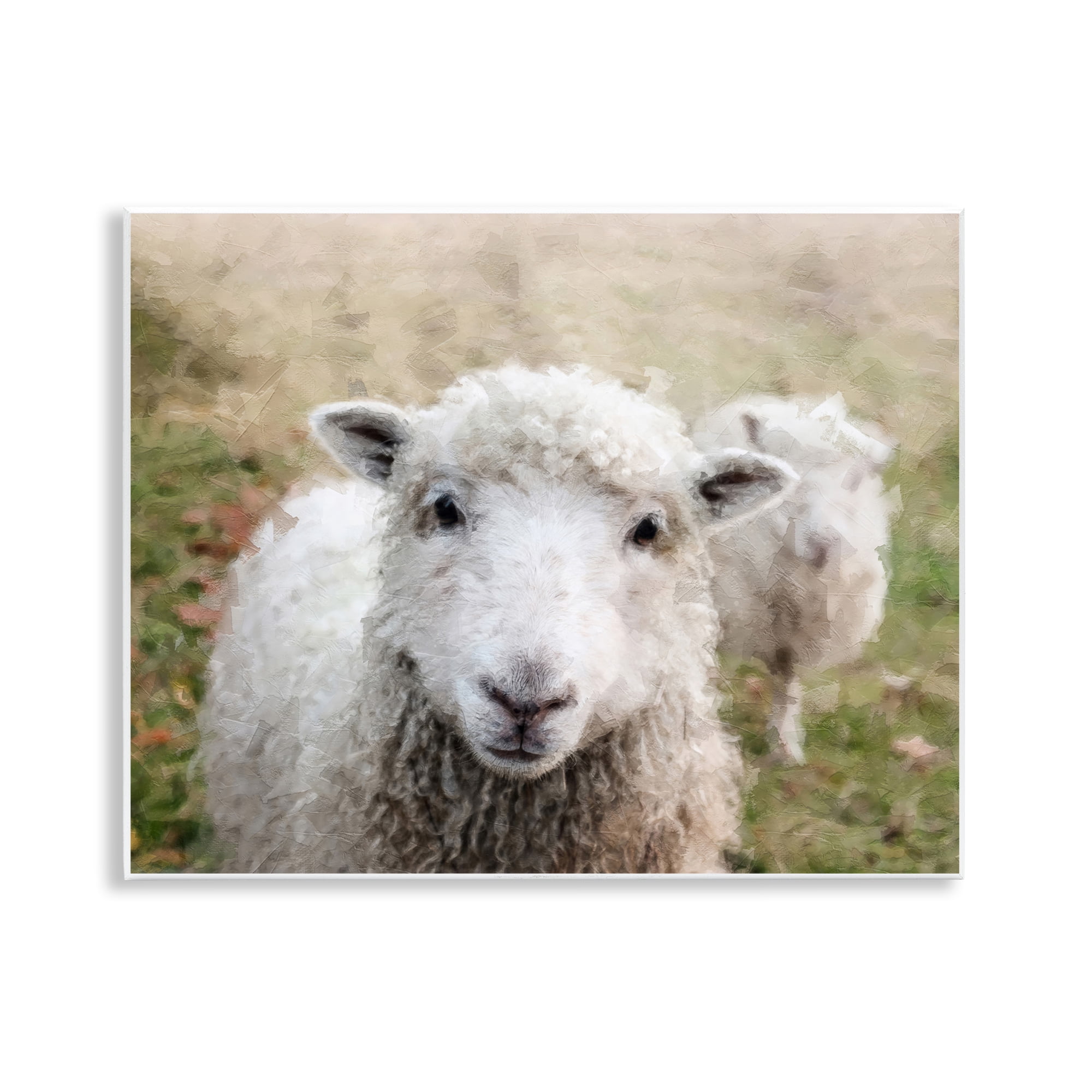 Stupell Industries Close Up Sheep Gaze Animals & Insects Painting Unframed Art Print Wall Art, 14 x 11