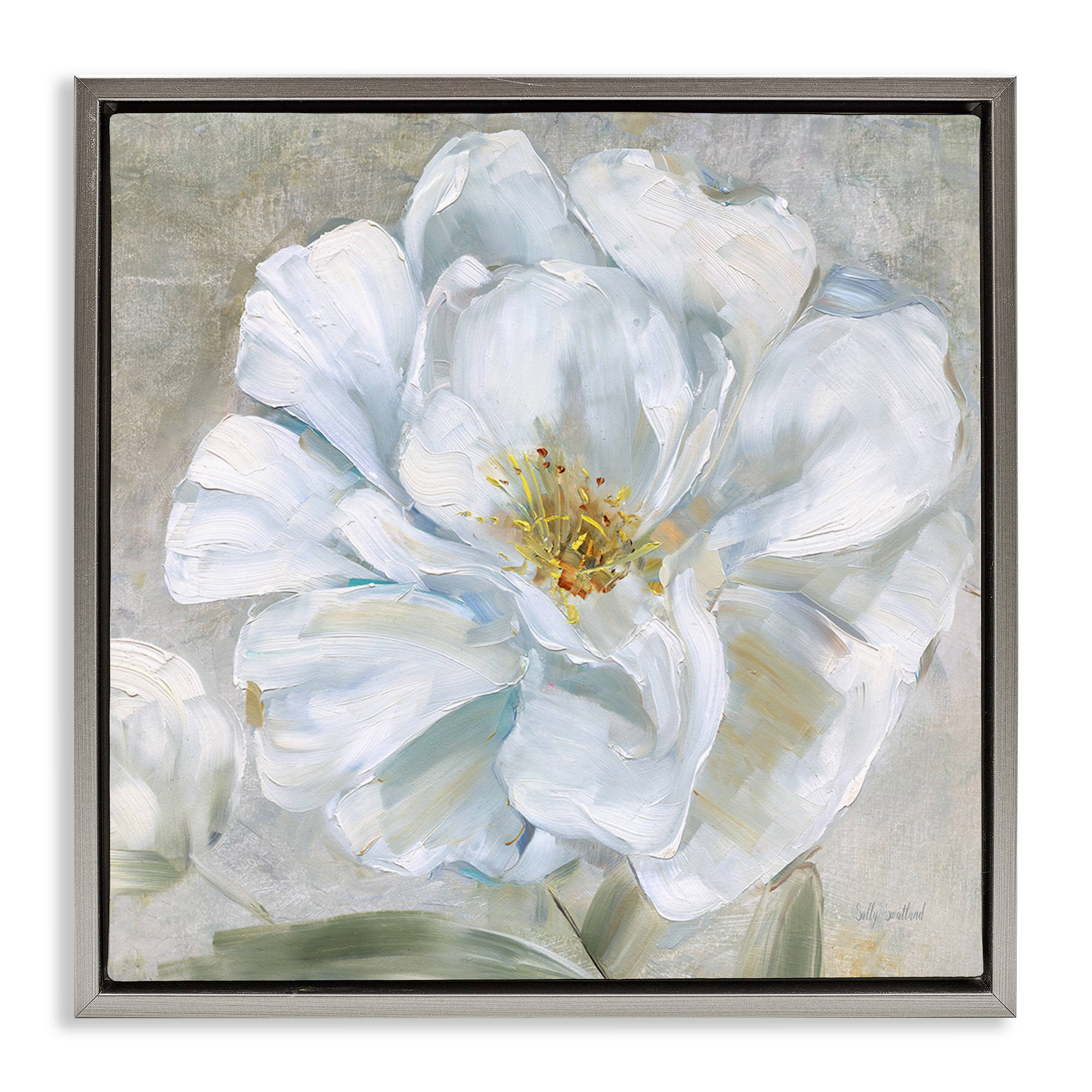 Stupell Industries Close Up White Bloom Plants & Flowers Painting Gray Floater Framed Canvas Art Print Wall Art, 18 x 18