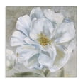 thumbnail image 1 of Stupell Industries Close Up White Bloom Plants & Flowers Painting Wrapped Canvas Art Print Wall Art, 17 x 17, 1 of 8