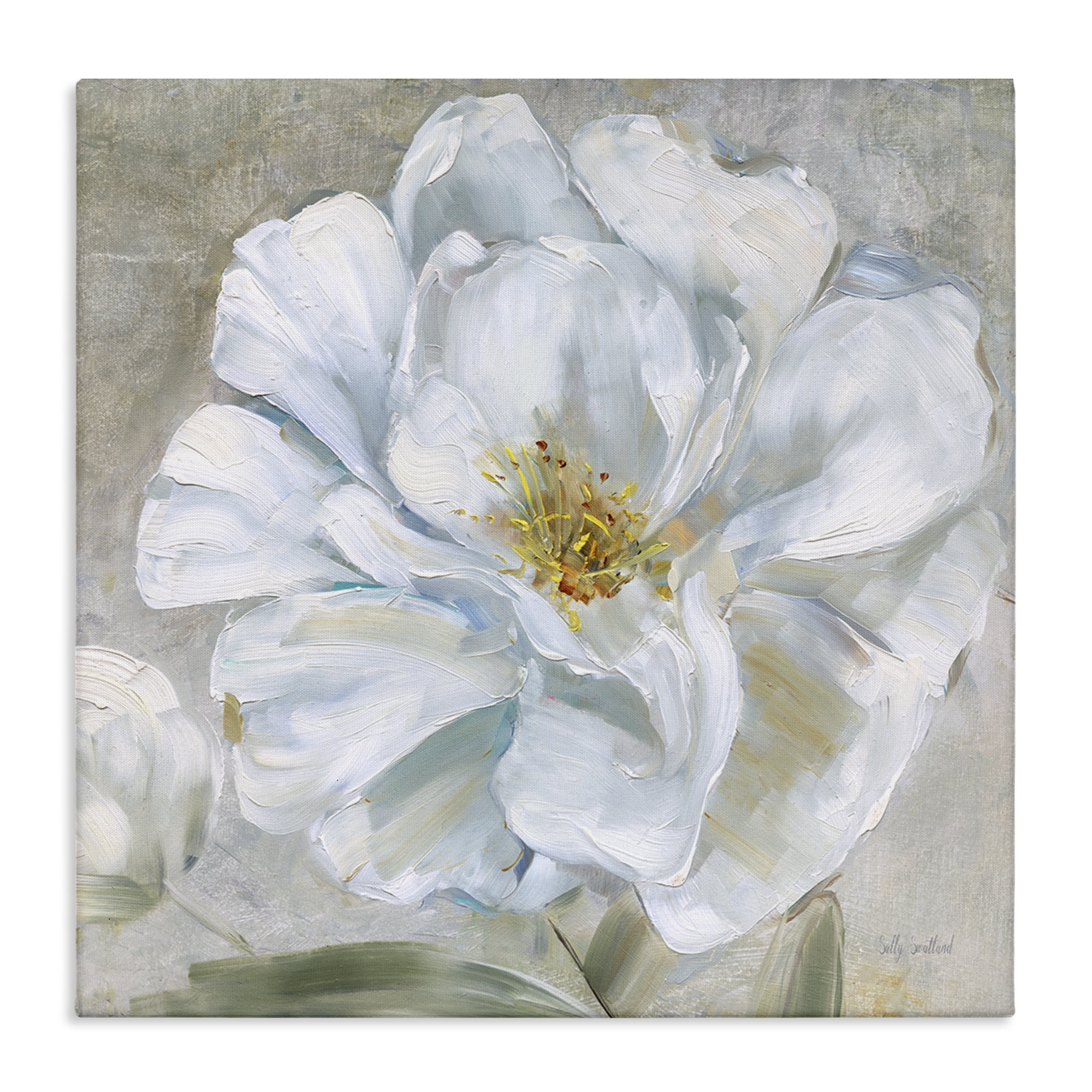 Stupell Industries Close Up White Bloom Plants & Flowers Painting Wrapped Canvas Art Print Wall Art, 30 x 30
