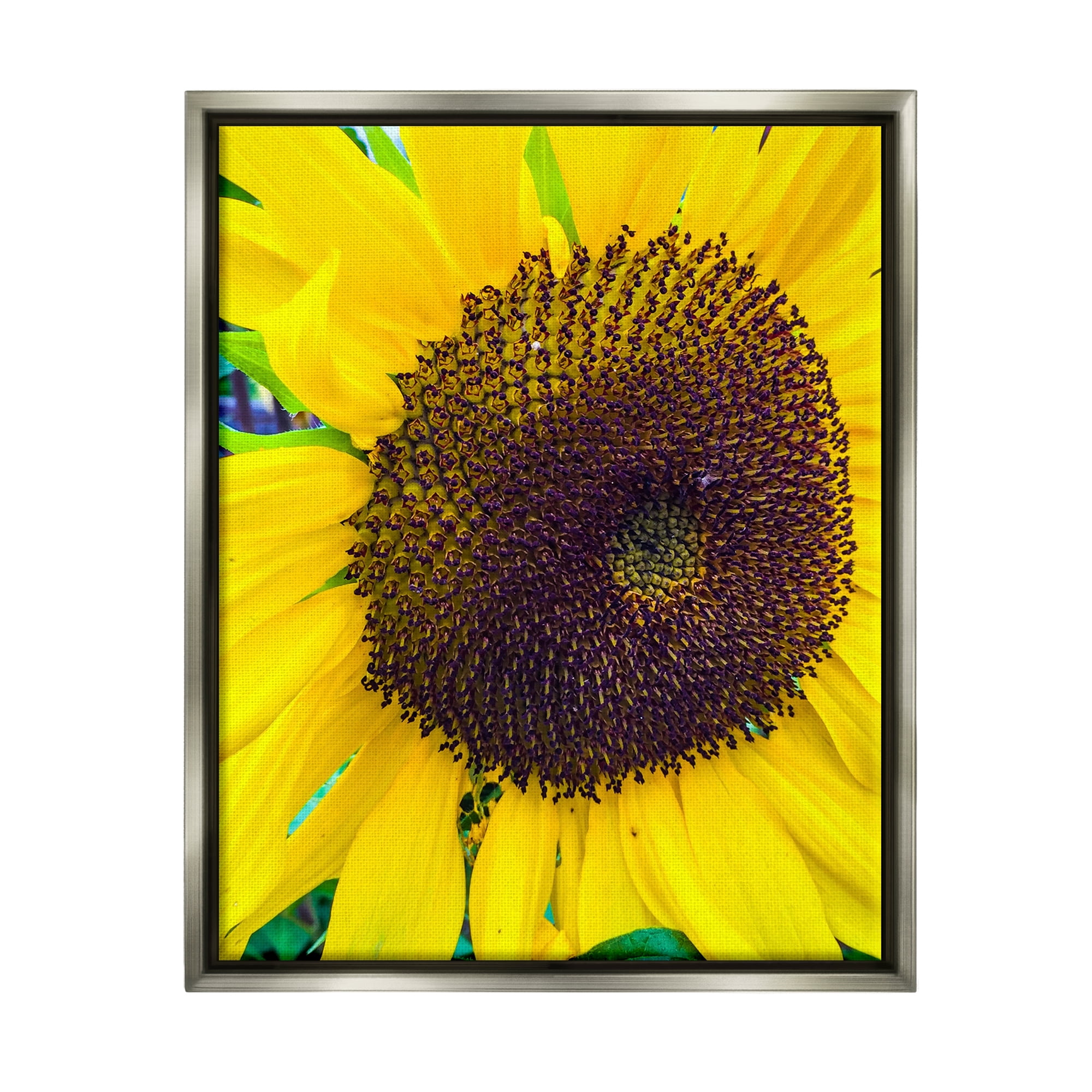 Stupell Industries Close Up Yellow Sunflower Florets Botanical Nature Photograph Luster Gray Floating Framed Canvas Print Wall Art, Design by Heidi Bannon