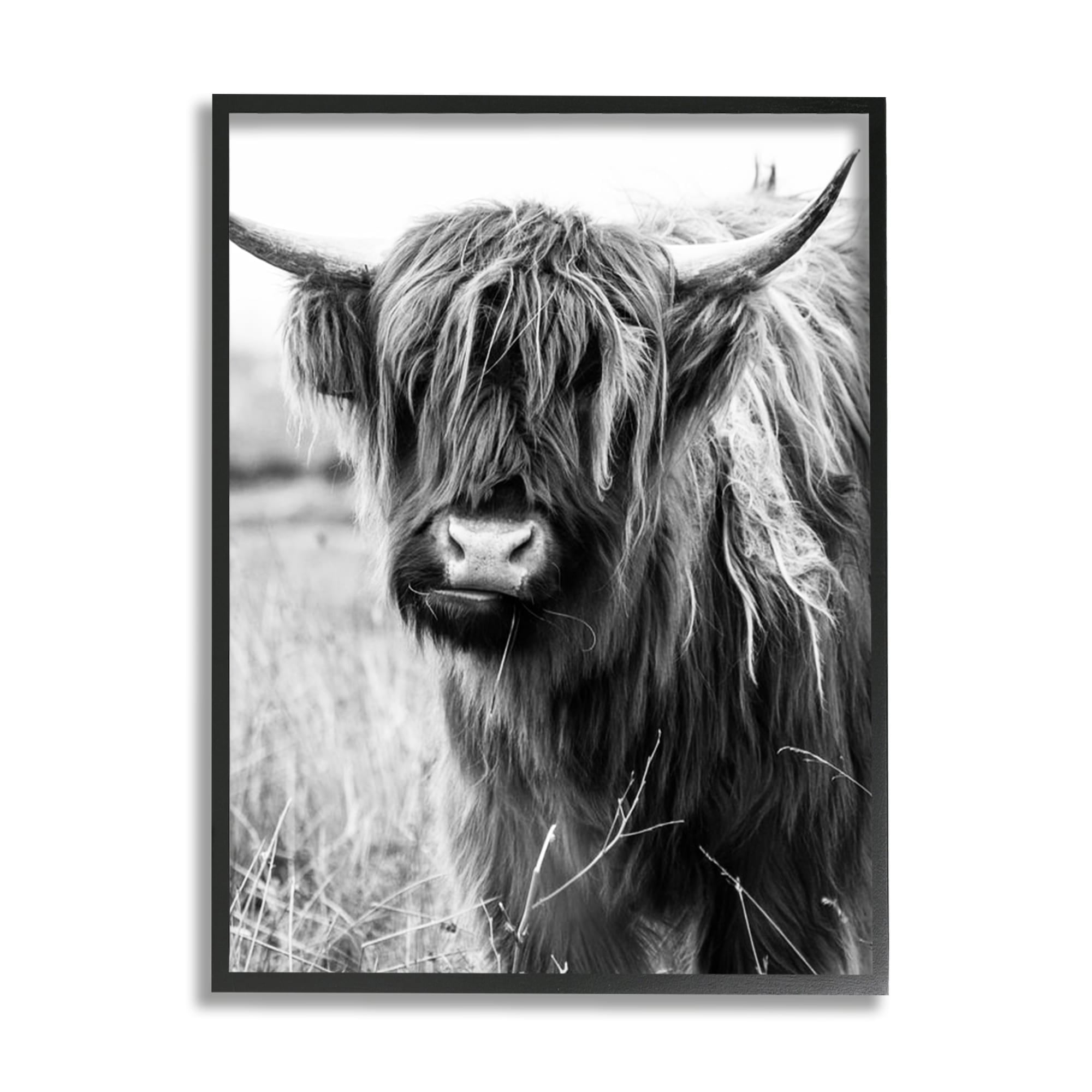 Stupell Industries Closeup Longhorn Cattle Grazing Monochrome Photography Framed Wall Art, 16 x 20, Design by Amy Brinkman