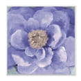 thumbnail image 1 of Stupell Industries Closeup Purple Anemone Flower Blossom Illustration , 12 x 12, Design by Lanie Loreth, 1 of 5