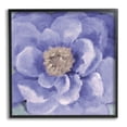 thumbnail image 1 of Stupell Industries Closeup Purple Anemone Flower Blossom Illustration Drawings Black Framed Art Print Wall Art, 12x12, by Lanie Loreth, 1 of 6